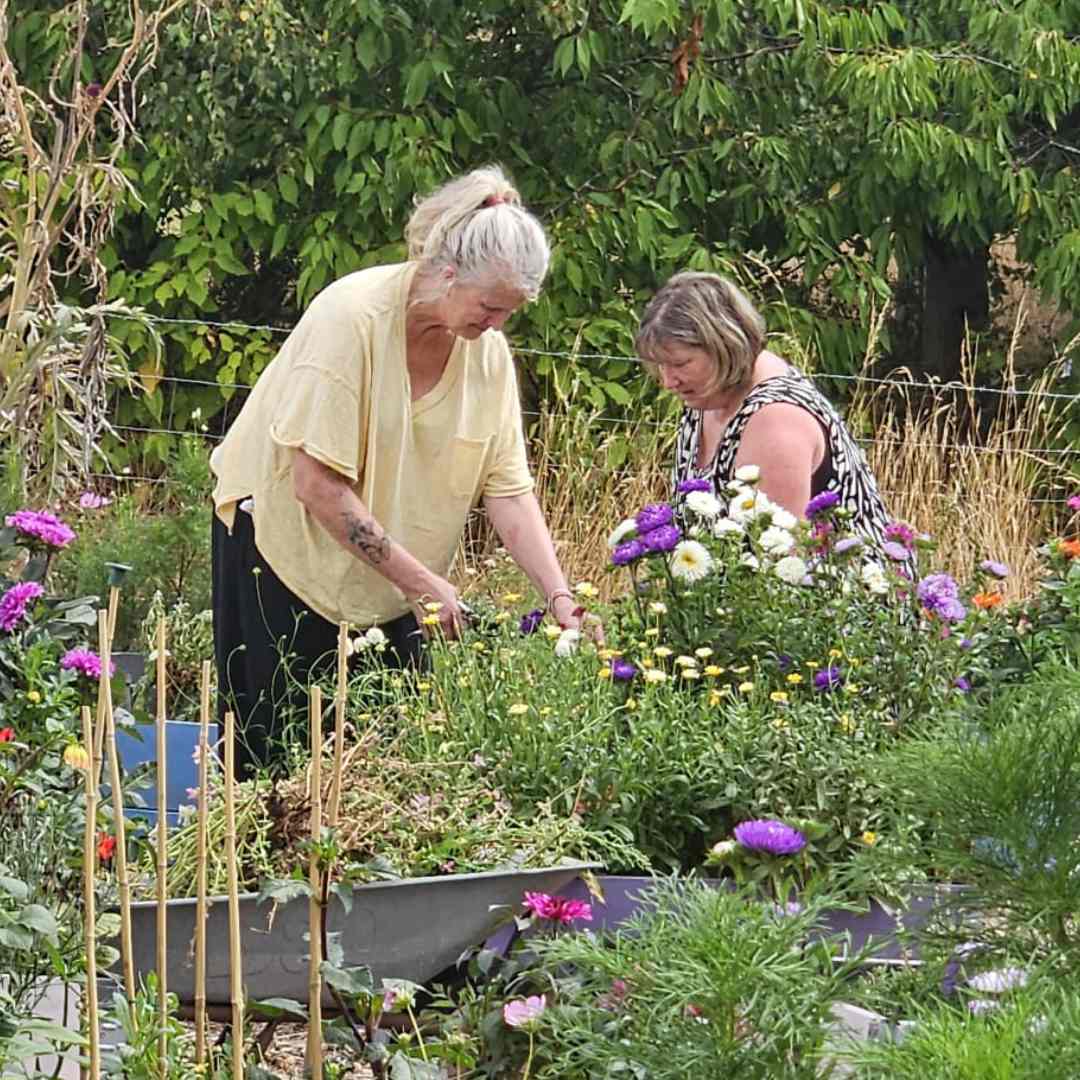 Growing Together: An Ategi Volunteer Day at Bloomin Well